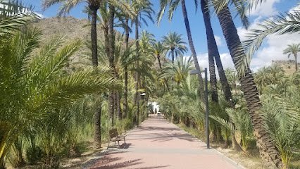 Campo El Palmeral Orihuela