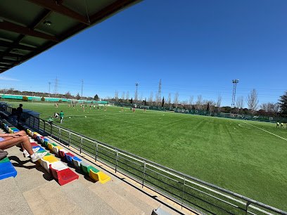Campo de rugby Valle de las Cañas
