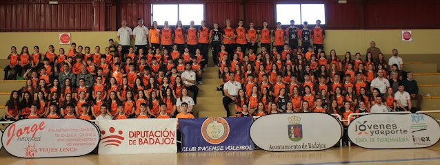Club Pacense Voleibol