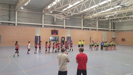 Pabellón Deportivo Municipal Actur V