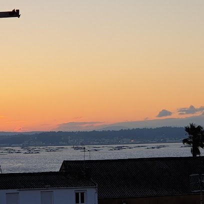 Polideportivo Municipal