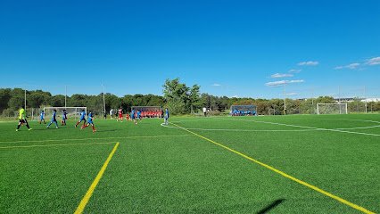 Campos Municipales de Fútbol Juan Manuel Angelina