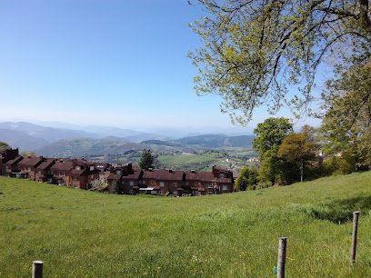 Polideportivo Municipal de Tinéu