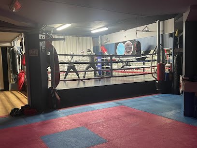 Escuela de Boxeo Fight Club Segovia
