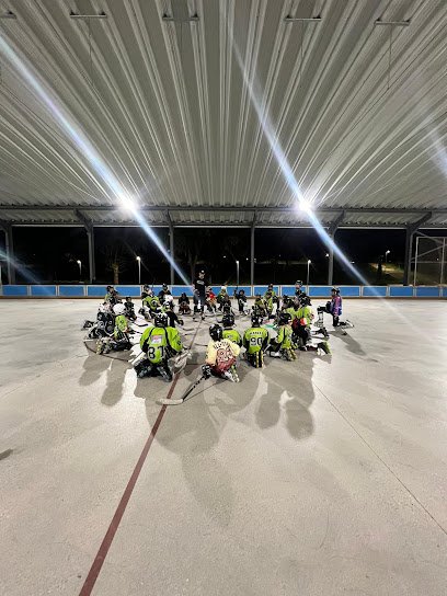 Ciudad Patina – Escuela de Patinaje y Hockey Línea