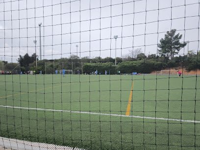 Campo de fútbol 01