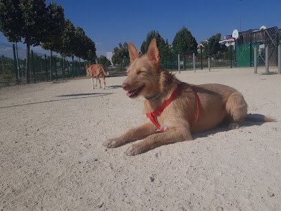 Pistas Doradas de la Tenería