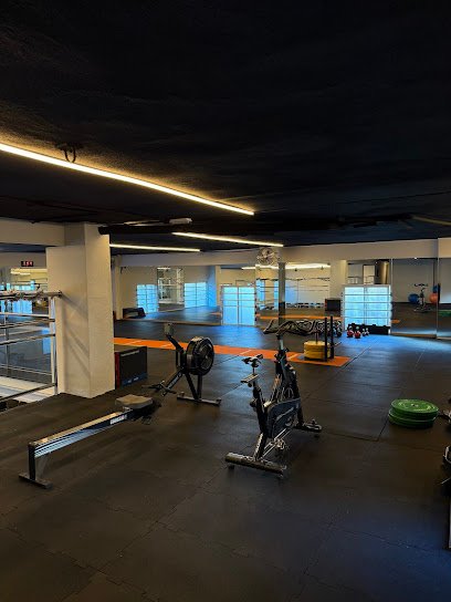 Gimnasio Heracles – Infante