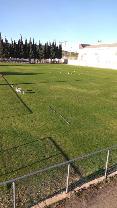 Campo Entrenamiento R.Murcia