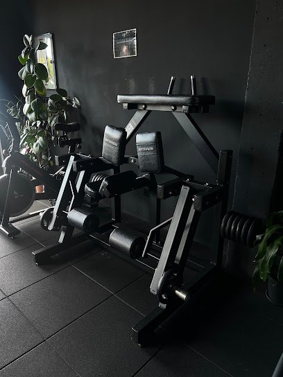 Wolf’s Gym