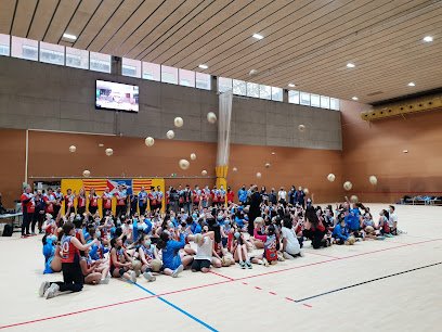 Club Voleibol Sant Boi