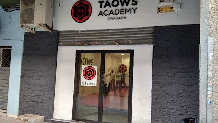 TAOWS Academy Granada (Wing Chun, BJJ, Defensa Personal Infantil).
