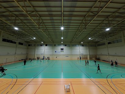 Polideportivo Municipal Agustín Marañón