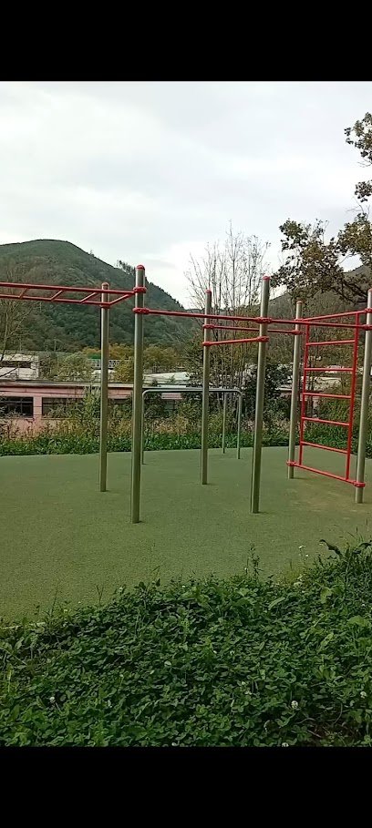 PARQUE DE CALISTENIA