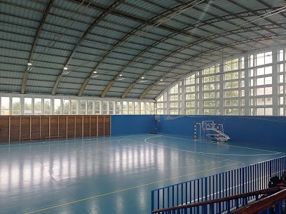 Pabellon Polideportivo Polanco