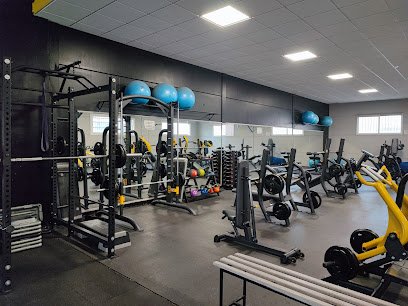 Body Fitness
