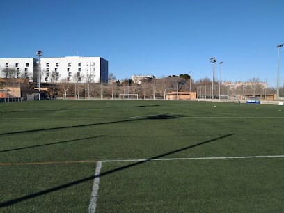 C. F. Santo Domingo Juventud