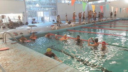 Alberca Olímpica Municipal y Gimnasio