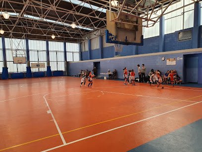 PISTA POLIDEPORTIVA JOAQUIM BLUME