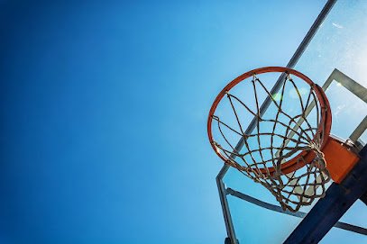 Club de Baloncesto de Alcorcón