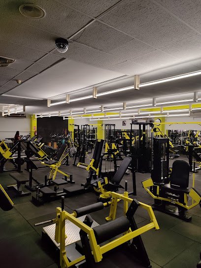 Gimnasio Pino Montano – Laocoonte Fitness