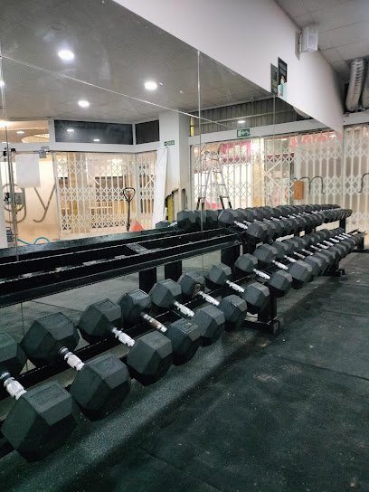 Actigym