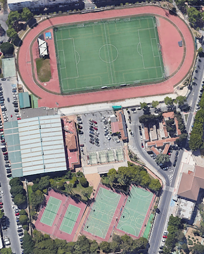 Polideportivo Municipal Arroyo de la Miel – Área de Deporte Ayuntamiento de Benalmádena