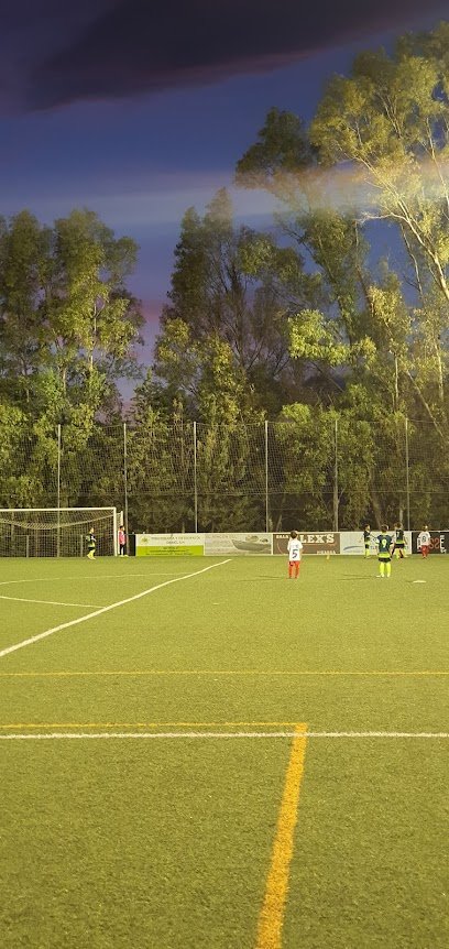 Campo Fútbol Pizarra