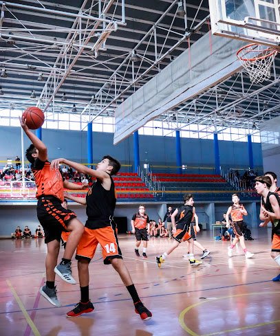 Logos Basket Sedaví