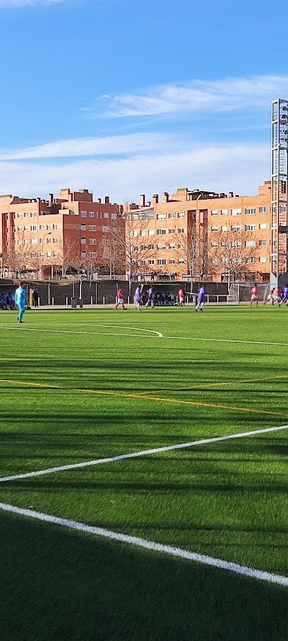 Campo de Fútbol Valdelasfuentes 1