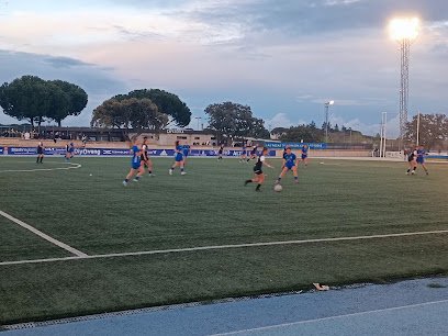 Campo Las Rozas