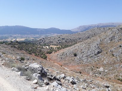 Polje de Zafarraya
