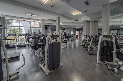 Gimnasio Iron Salfer