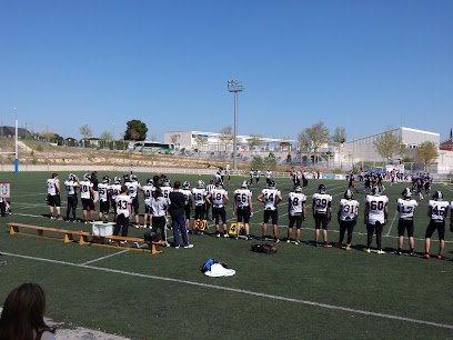 Las Rozas Black Demons
