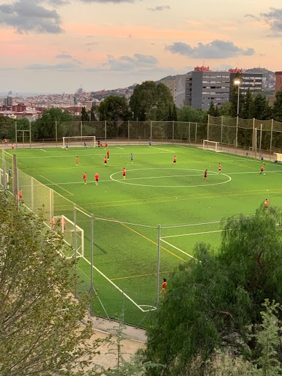 Fundación Brafa – Escuela Deportiva