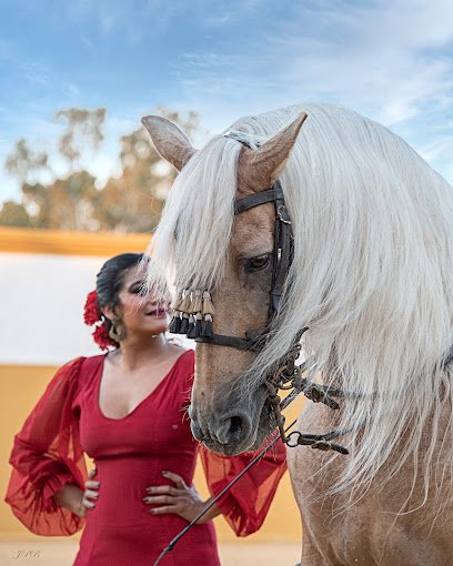 Carmelo Cuevas- Espectaculo Ecuestre