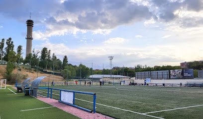 Campo de Fútbol 7 | Foresta C