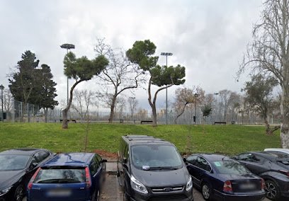 Campo de fútbol Sala Parque Eugenia de Montijo