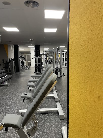 Alpha fitness center