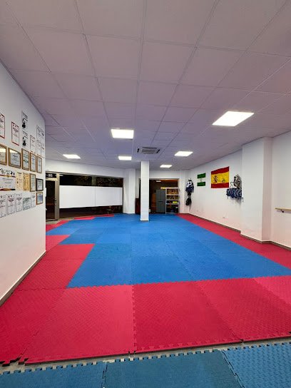 Taekwondo Vélez-Málaga Korean Style