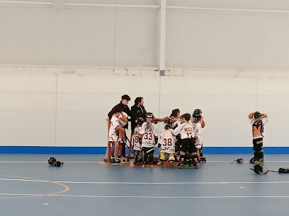 Polideportivo A Carballeira «Secundino Basalo»
