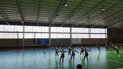 Polideportivo de Revilla