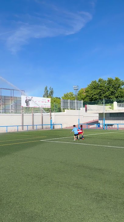 Campus Verano UD3C