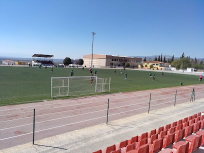 Campo De Fútbol Pinos Puente