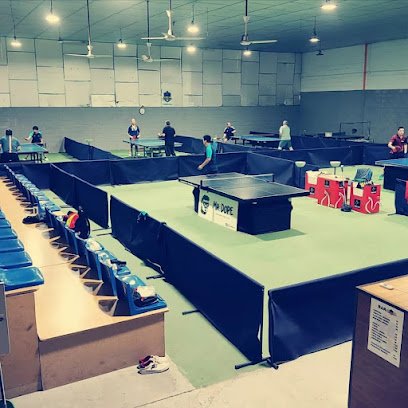 6 a 8 tenis de mesa