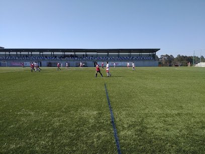 Estadio Municipal La Roja