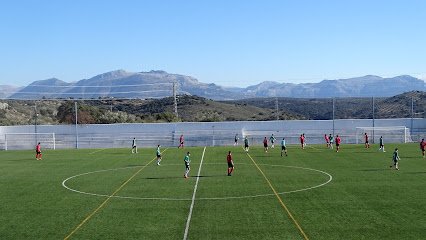 Campo Municipal de futbol La Pajarita