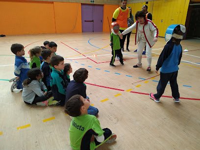 Consell Esportiu del Vallès Occidental Terrassa