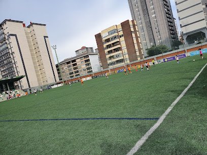 Campo Federativo de Coia