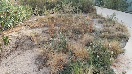 Parque de las trece rosas